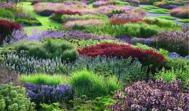 Естественные сады Пита Удольфа_2