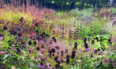 Естественные сады Пита Удольфа_7