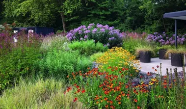 Естественные сады Пита Удольфа_9