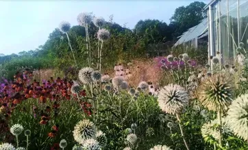 Естественные сады Пита Удольфа