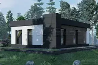 Проект одноэтажного дома с плоской крышей Windows Villa