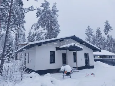 Строительство коттеджа по проекту FH-114A Optimus ALP_3