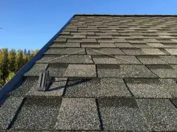 Строительство коттеджа по проекту 106А Вектор_16