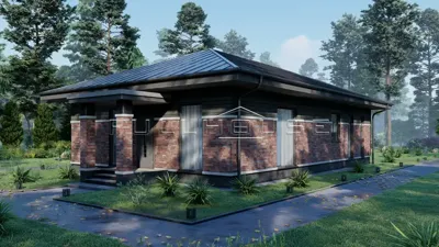 Проект FH-114F Furor