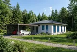 Проект Эндемик Э123С_1